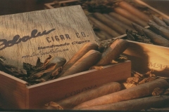 cigarslogo