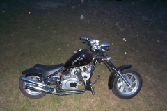 DCP03404