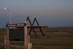 WY1