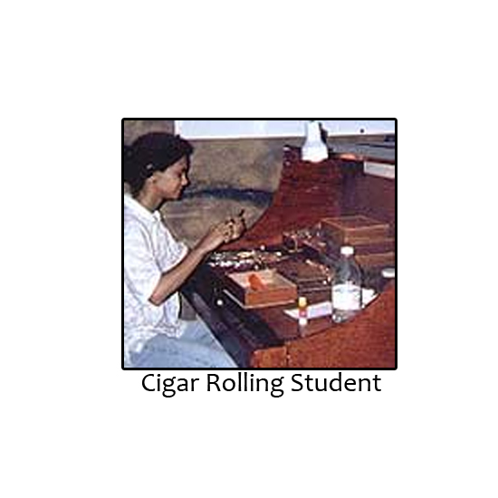cigar rolling student
