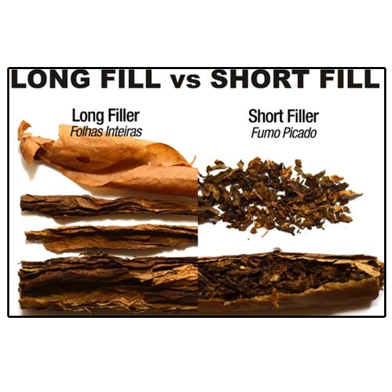 Long Fill vs Short Fill