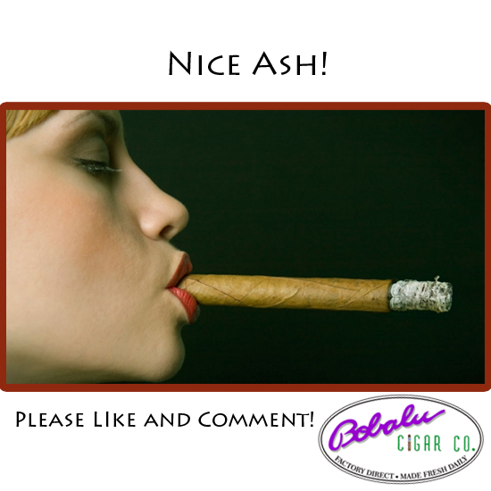 nice ash