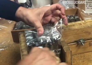 Bundling hand made custom Dominican selection cigars at the Bobalu cigar factory