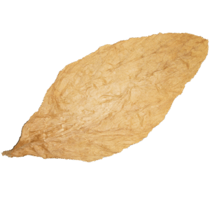 connecticut shade cigar wrapper leaf