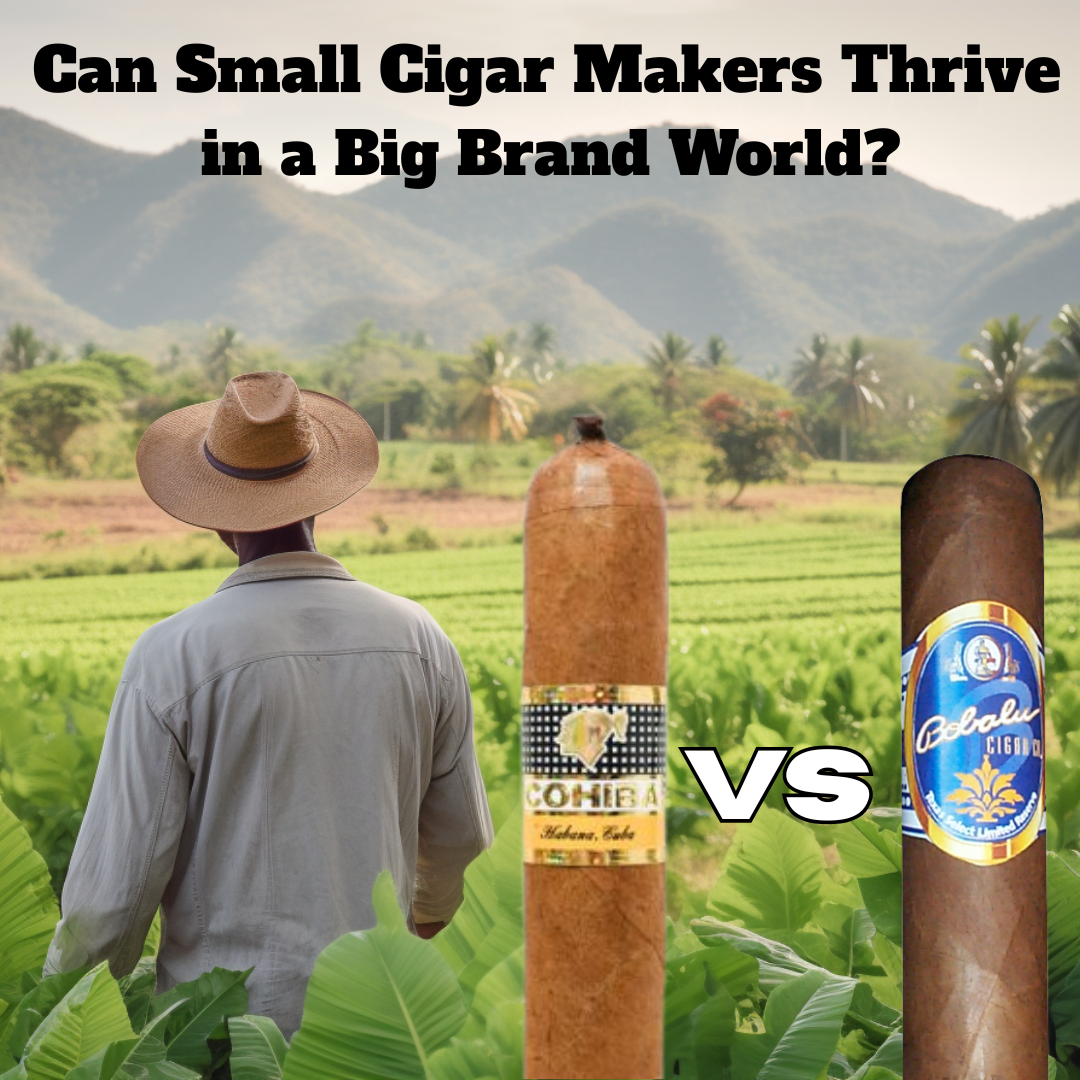 Hand-rolled Bobalu cigar in focus with blurred corporate cigar bands behind